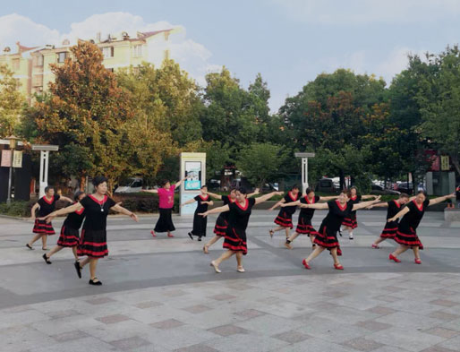 智能廣場舞系統