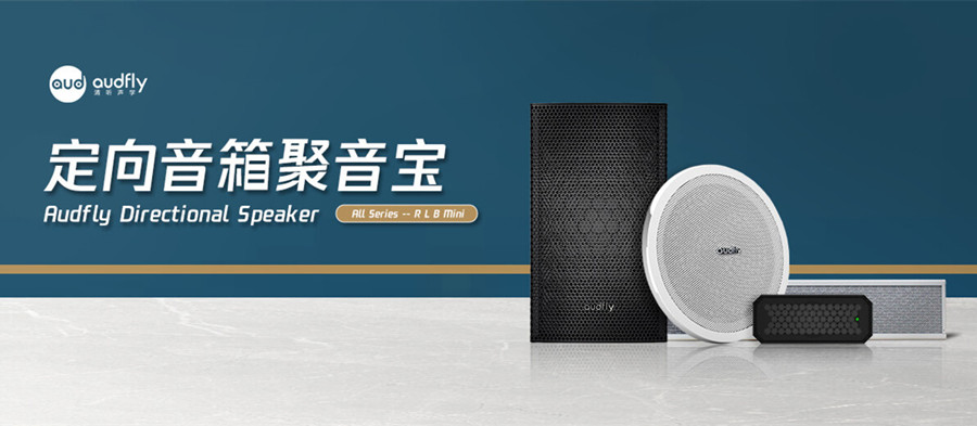 定向揚聲系統(tǒng)